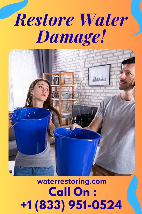 water restoration Zenith Disaster Cleanup Force Norman