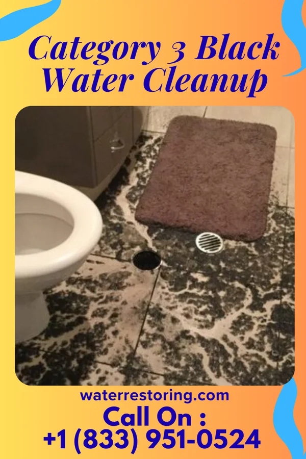 Category 3 Black Water Cleanup in Norman, NE