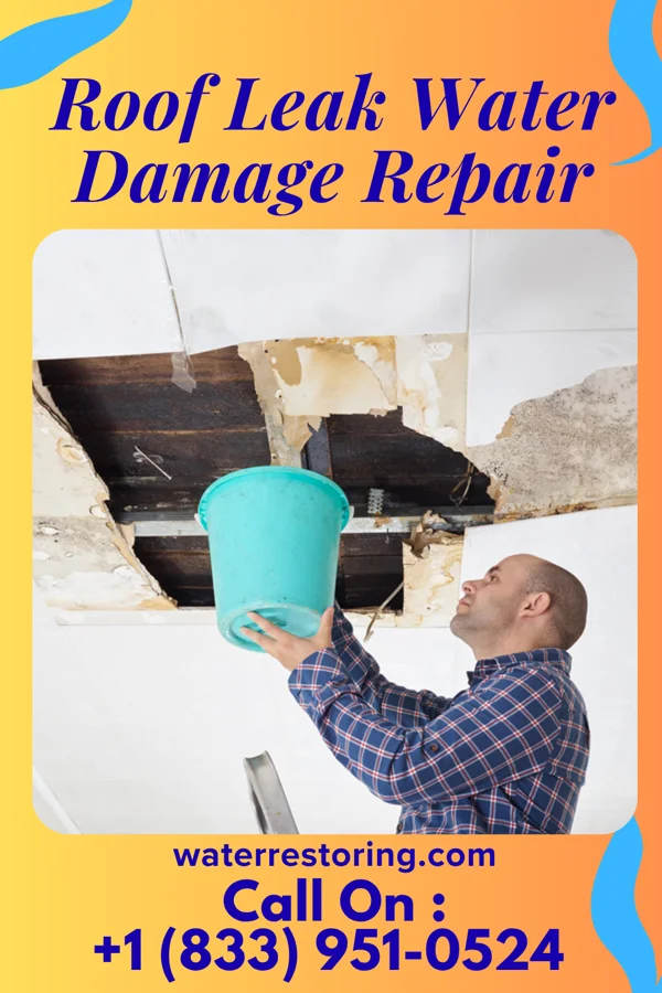 Roof Leak Water Damage Repair in Norman, NE