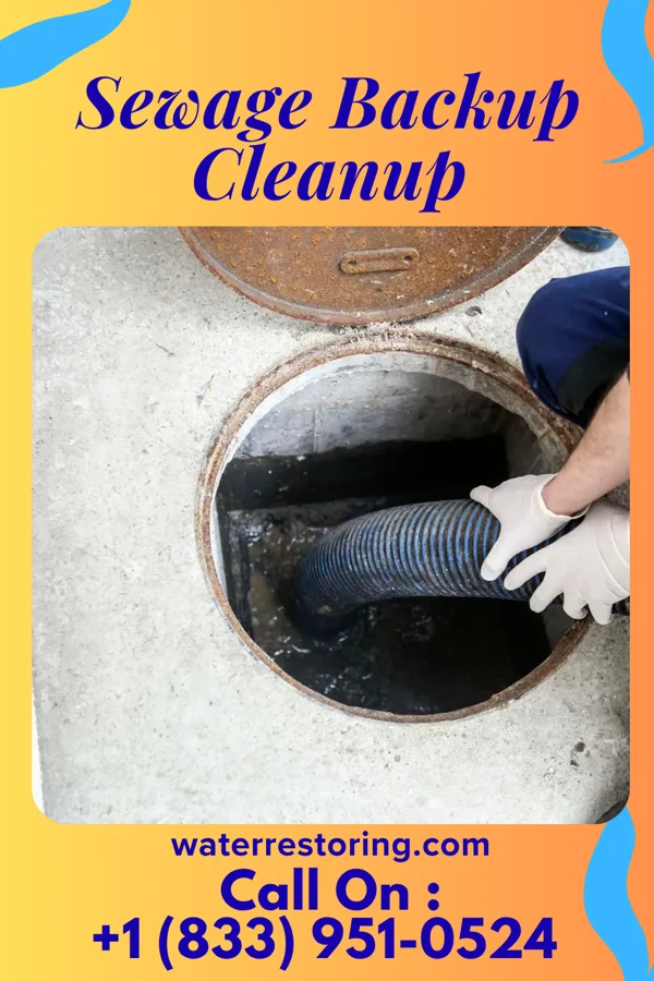 Sewage Backup Cleanup in Norman, NE