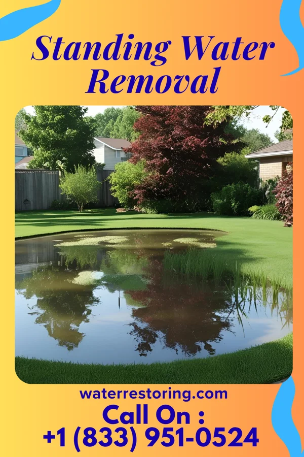 Standing Water Removal in Norman, NE